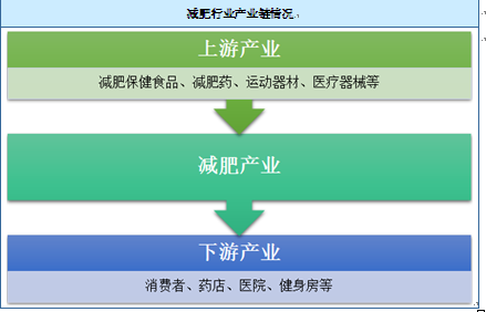 20182024年中国互联网减肥产品行业分析与投资前景研究报告